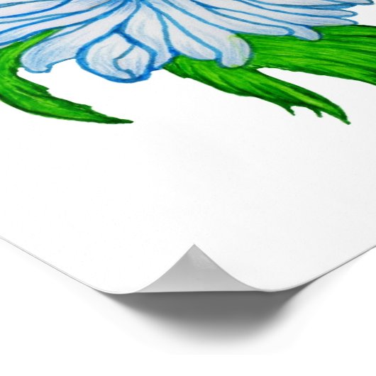 Margeriten Blume Poster (Ecke)