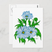 Margeriten Blume Postkarte (Vorne/Hinten)
