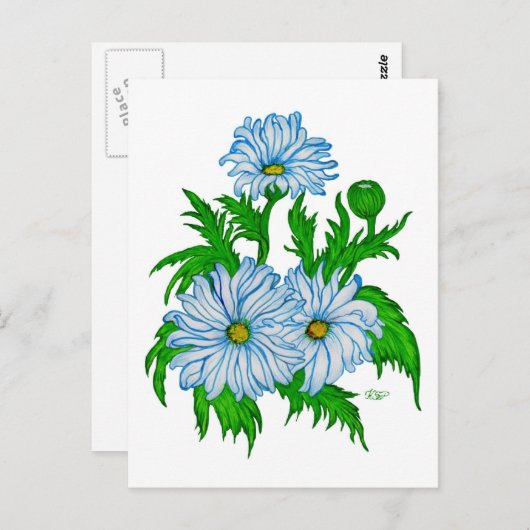 Margeriten Blume Postkarte (Vorne/Hinten)