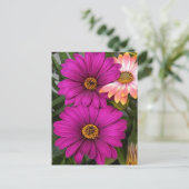 Margeriten - Postkarte (Stehend Vorderseite)