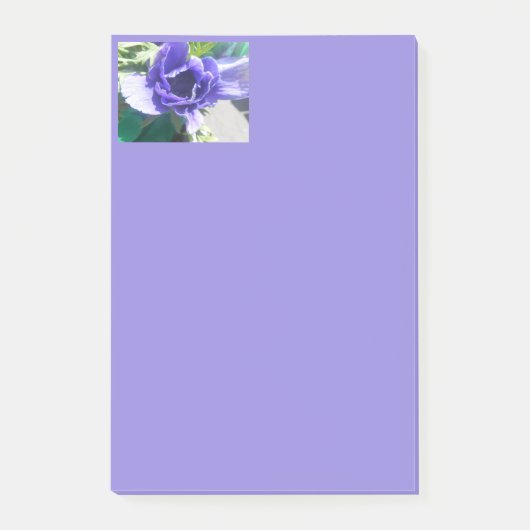 Marguerit Post-it Klebezettel (Vorderseite)