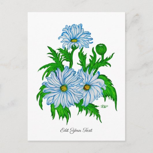 Marguerite , Daisies-Blume im Retro-Stil Postkarte (Vorderseite)