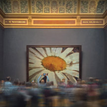 Marguerite Daisy mit Flügelinsekten Blumenart