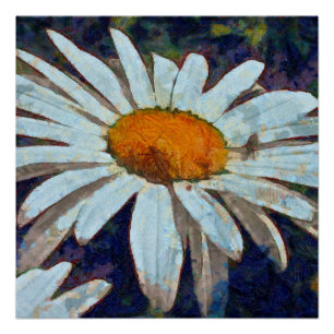 Marguerite Daisy mit Flügelinsekten Blumenart Poster