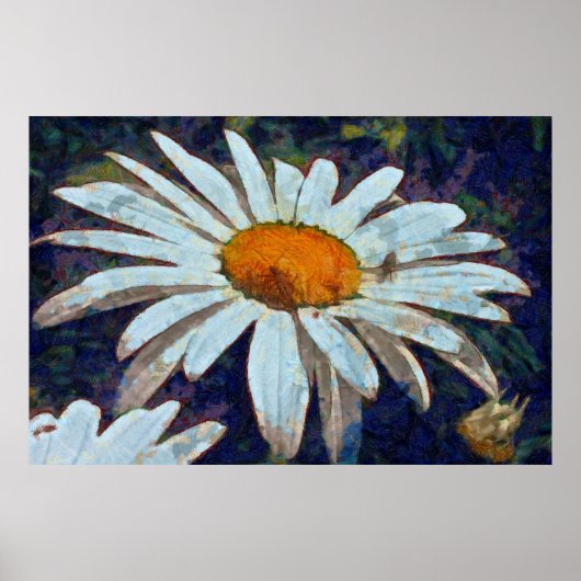 Marguerite Daisy mit Flügelinsekten Blumenart Poster (Vorne)