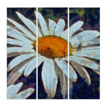 Marguerite Daisy mit Flügelinsekten Blumenart