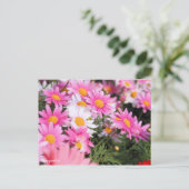 Marguerite [Postcard] Postkarte (Stehend Vorderseite)