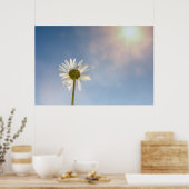 Marguerite Poster (Küche)