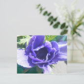 Marguerite Postkarte (Stehend Vorderseite)