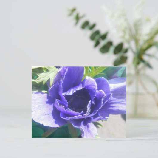 Marguerite Postkarte (Stehend Vorderseite)