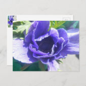 Marguerite Postkarte (Vorne/Hinten)