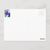 Marguerite Postkarte (Rückseite)