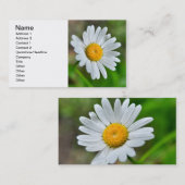 Marguerite-wild-Blume426 WILDBLUMEN DAISY SPRIN Visitenkarte (Vorne/Hinten)