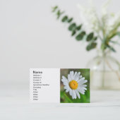 Marguerite-wild-Blume426 WILDBLUMEN DAISY SPRIN Visitenkarte (Stehend Vorderseite)