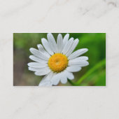 Marguerite-wild-Blume426 WILDBLUMEN DAISY SPRIN Visitenkarte (Rückseite)