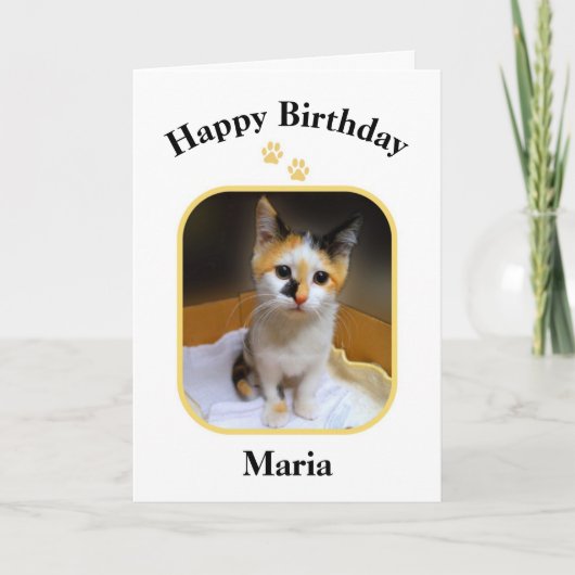 Maria Calico Kitten Happy Birthday Card Karte (Vorderseite)