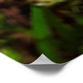 Maria-fecha-a-porta 1 poster (Ecke)