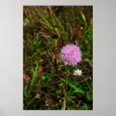 Maria-fecha-a-porta 1 poster (Vorne)