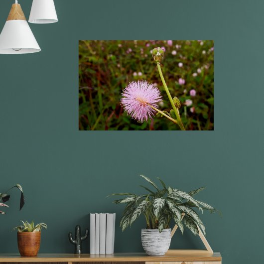 Maria-fecha-a-porta 2 poster (Wohnzimmer 1)