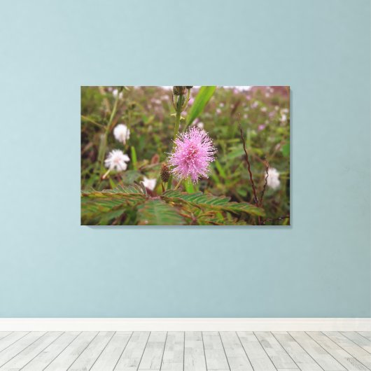 Maria fecha a porta  - Campo Leinwanddruck (Insitu (Holzboden))