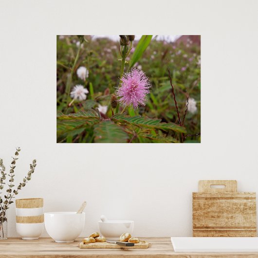 Maria fecha a porta - Campo Poster (Küche)