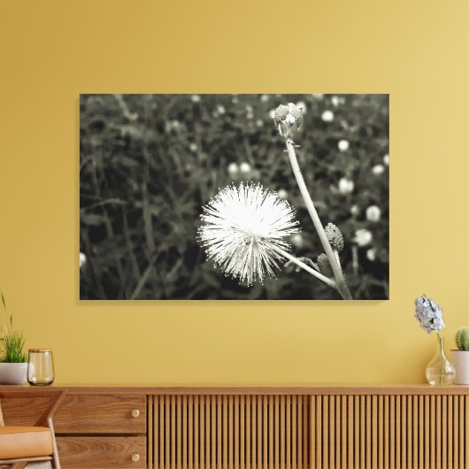 Maria fecha a porta - Com Broto Leinwanddruck (Insitu (Wohnzimmer))