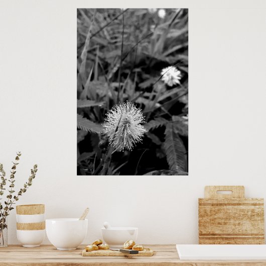 Maria-fecha-a-porta CONTRASTE Poster (Küche)