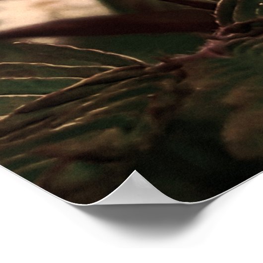 Maria-fecha-a-porta  -FILTRO Poster (Ecke)