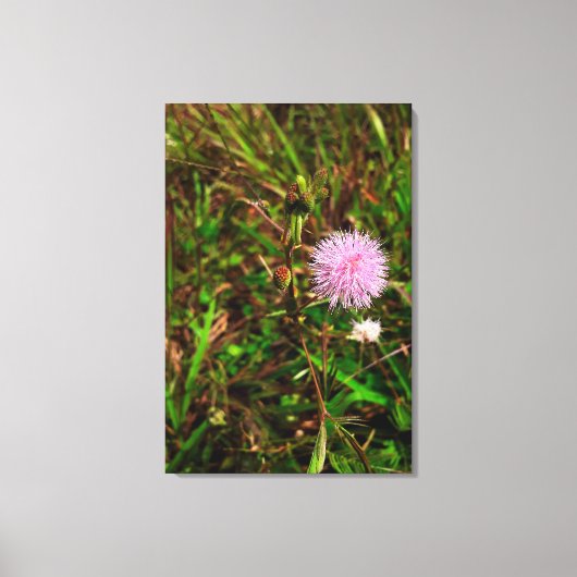 Maria-fecha-a-porta Leinwanddruck (Vorderseite)