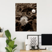 Maria-fecha-a-porta old poster (Heimbüro)