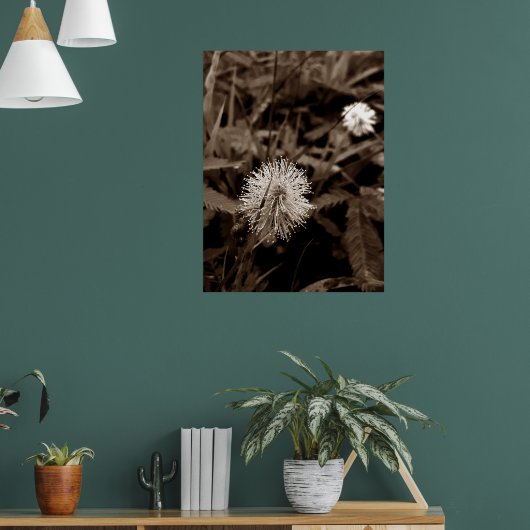 Maria-fecha-a-porta old poster (Wohnzimmer 1)