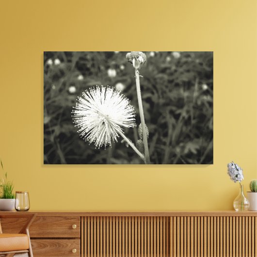 Maria-fecha-a-porta - p&b leinwanddruck (Insitu (Wohnzimmer))