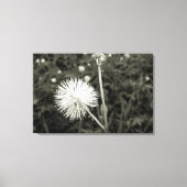 Maria-fecha-a-porta - p&b leinwanddruck (Vorderseite)