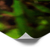 Maria-fecha-a-porta Poster (Ecke)