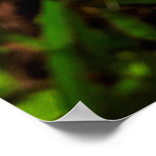 Maria-fecha-a-porta Poster (Ecke)