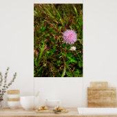 Maria-fecha-a-porta Poster (Küche)