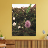 Maria-fecha-a-porta - ROSA Leinwanddruck (Insitu (Wohnzimmer))