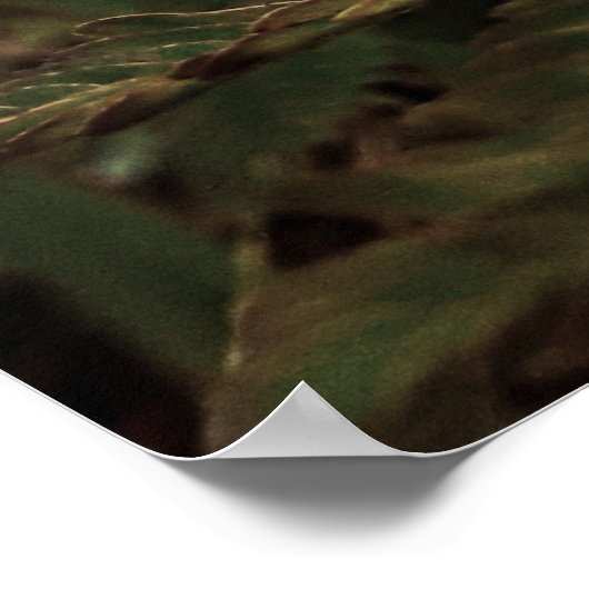 Maria-fecha-a-porta - ROSA Poster (Ecke)