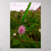 Maria-fecha-a-porta - VERTICAL Poster (Vorne)