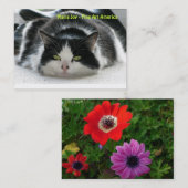 Maria-Freude - schöne Kunst Amerika. Visitenkarte (Vorne/Hinten)