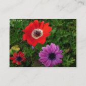 Maria-Freude - schöne Kunst Amerika. Visitenkarte (Rückseite)