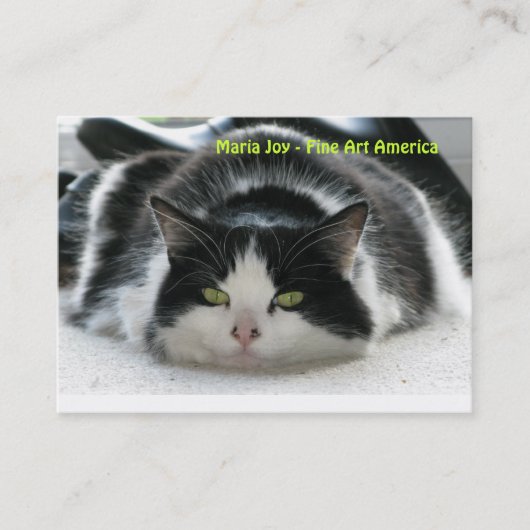 Maria-Freude - schöne Kunst Amerika. Visitenkarte (Vorderseite)