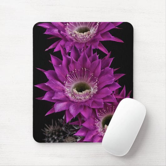 Maria Piazza bis zum dritten Mousepad (Mit Mouse)