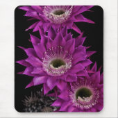 Maria Piazza bis zum dritten Mousepad (Vorne)