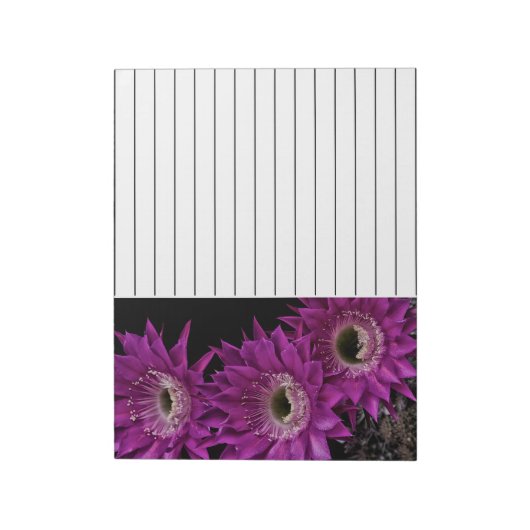 Maria Piazza bis zum dritten Notizblock (Rotiert)