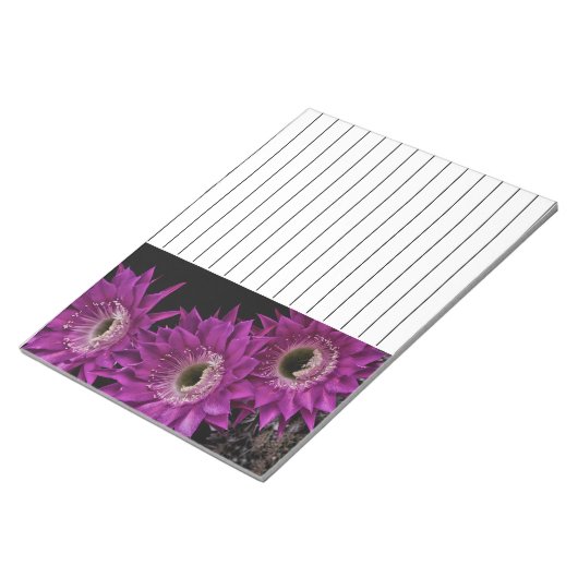 Maria Piazza bis zum dritten Notizblock (angewinkelt)