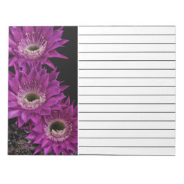 Maria Piazza bis zum dritten Notizblock