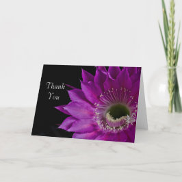 Maria Piazza kactus bloom Danke