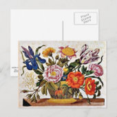 Maria Sibylla Merian - Von der Raupen Wunderbare Postkarte (Vorne/Hinten)