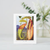 Marianne North #1 - Fine Art Postcard Postkarte (Stehend Vorderseite)